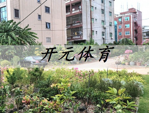 衡水城市道路绿化树种