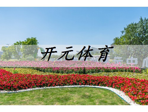 濮阳城市绿化带植物叫什么