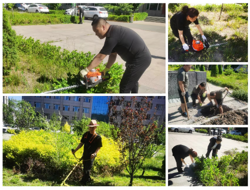 洛阳附近绿化苗木市场在哪里啊