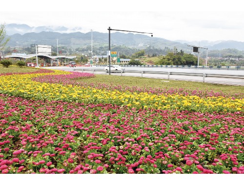 泸州市政绿化种植土单价